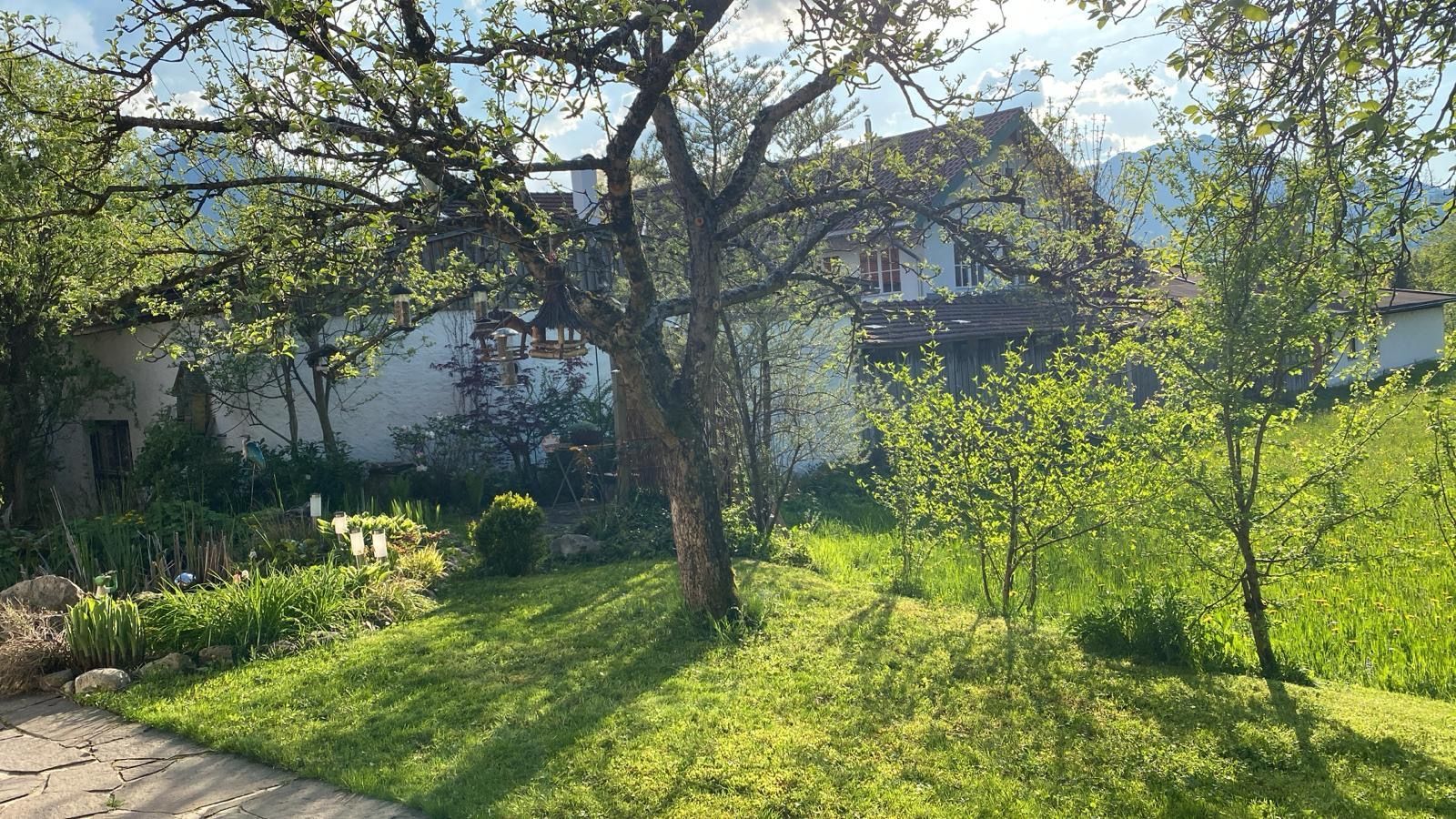 Garten der Bachl Ferienwohnungen in Zell mit alten Obstbäumen und Blick zu den Bergen