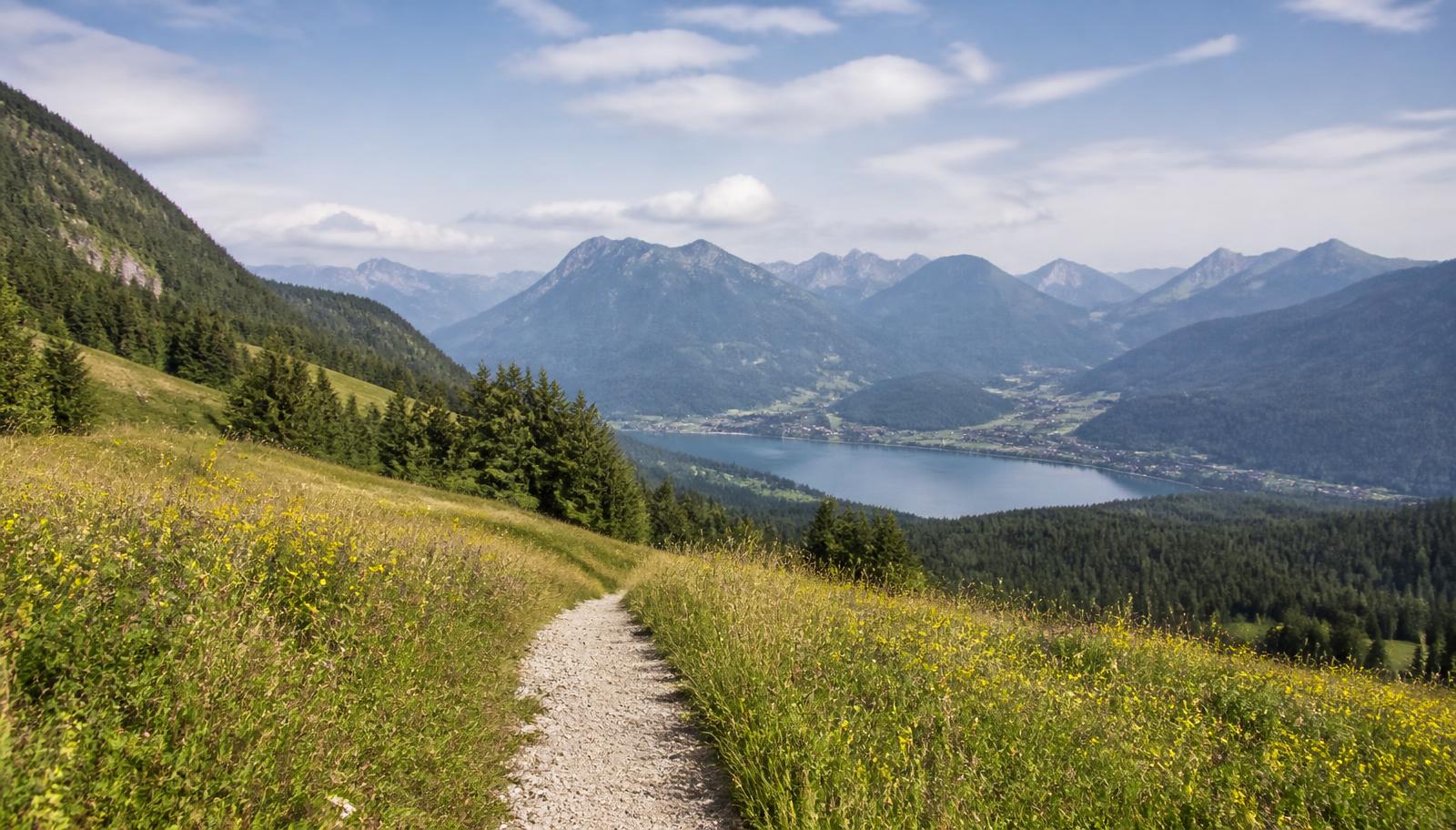 Wanderweg durch Bergwiesen mit Blick auf einen See in den Chiemgauer Alpen